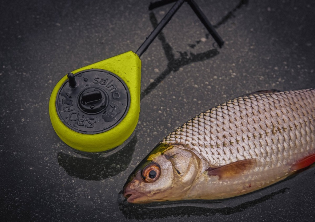 Ловля плотвы по последнему льду ранней весной 00008.JPG